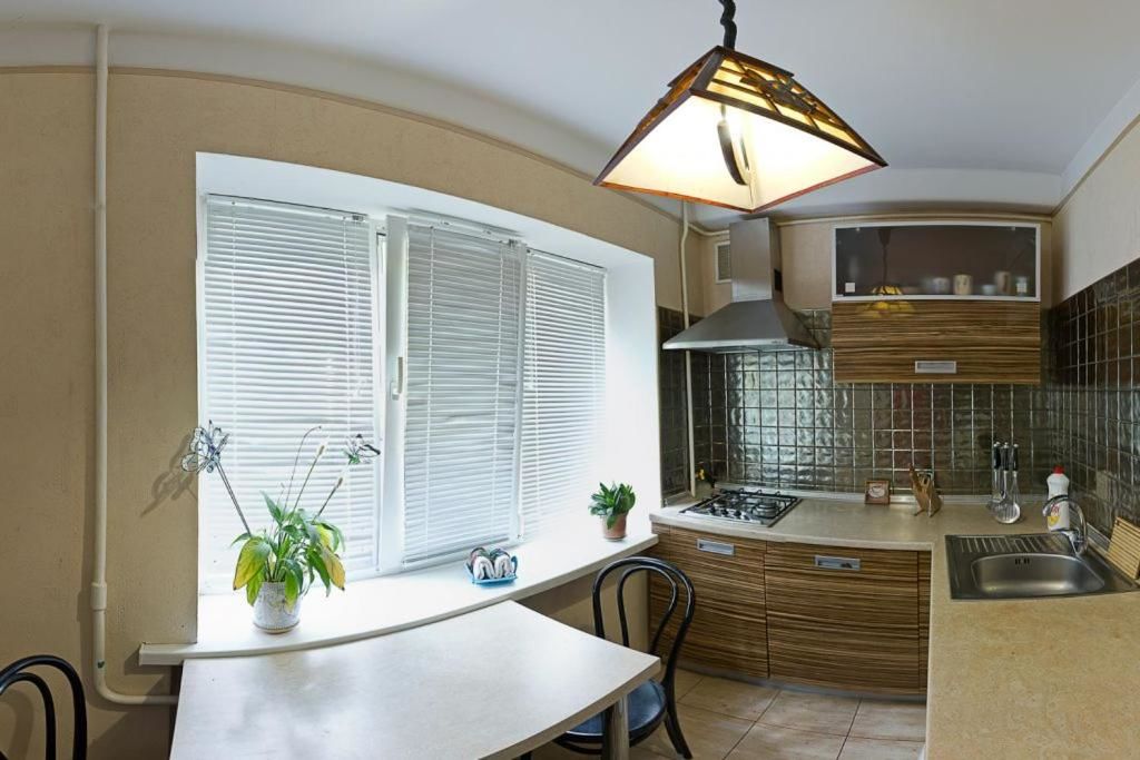 Апартаменты Kyiv apartment on Starokyivskaya lane 5 Киев-27